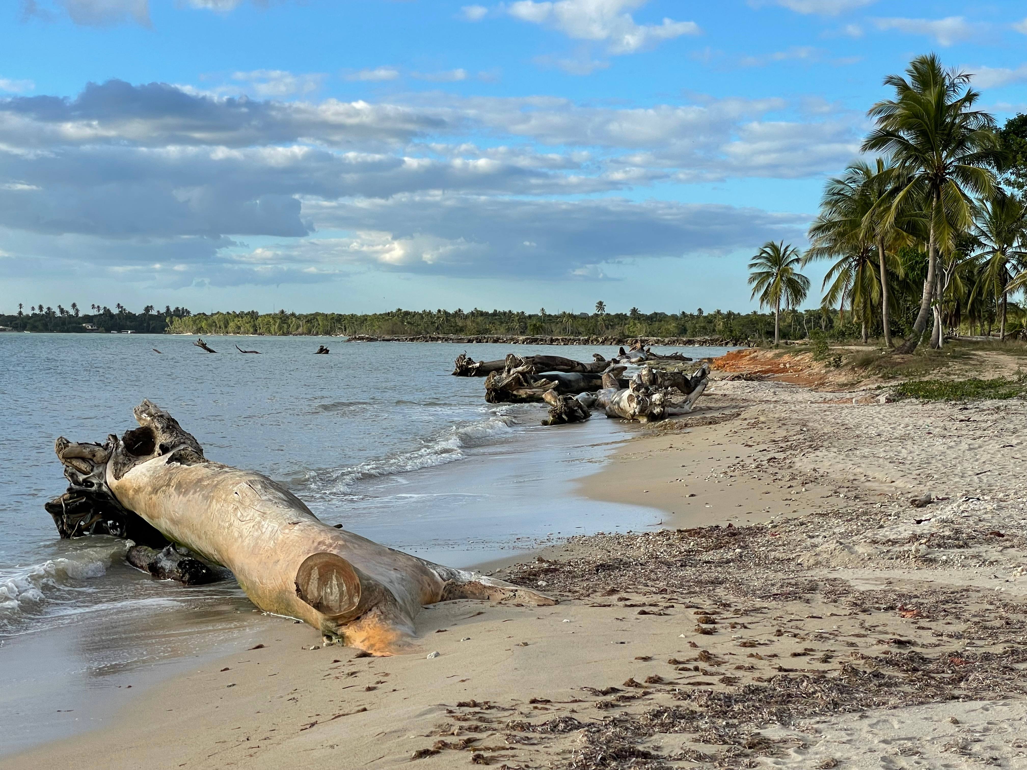 La Romana